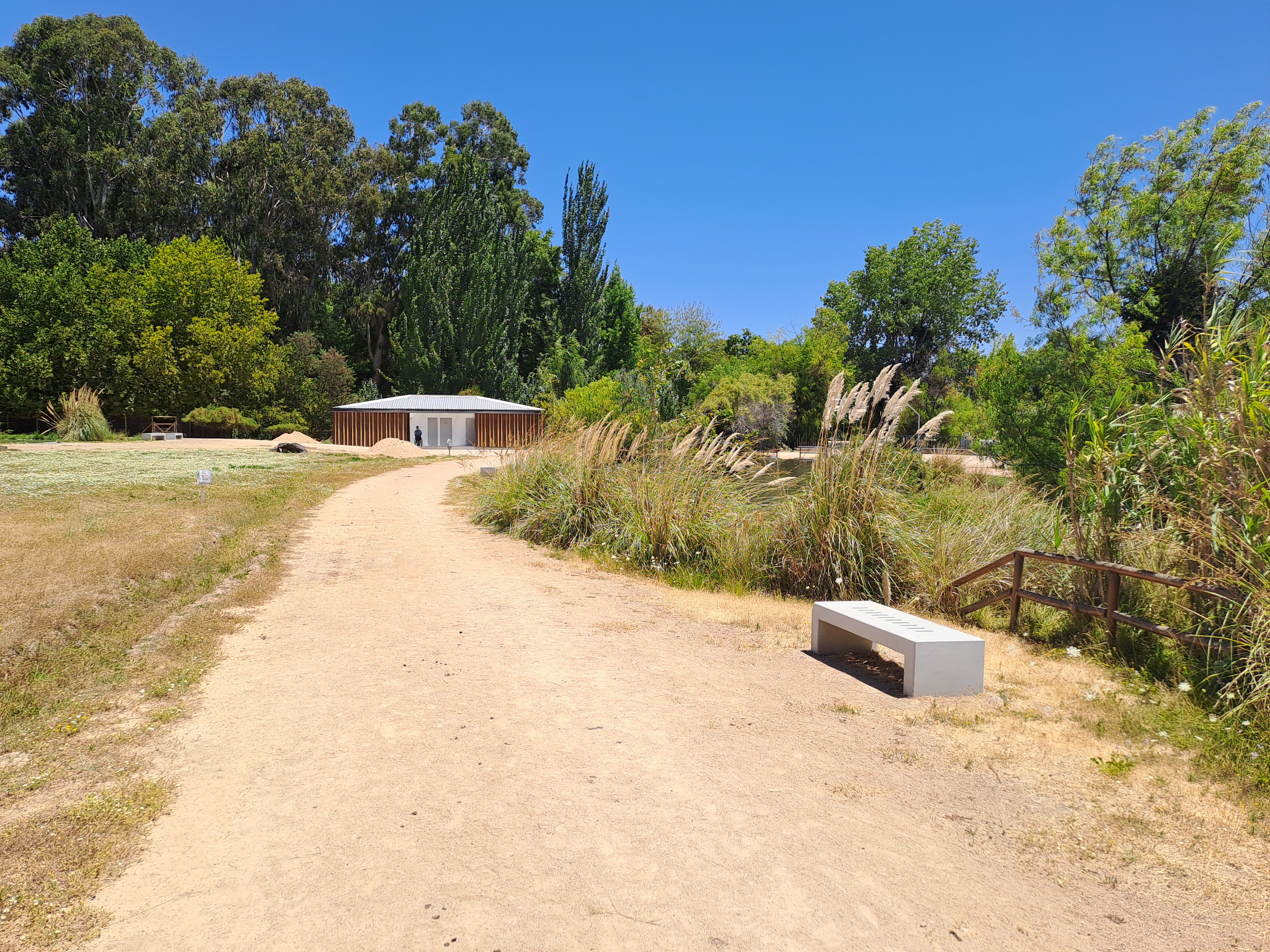 Fotografía del sendero con una banca al costado